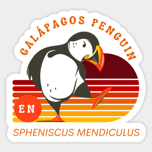 Galapagos pinguin Sticker